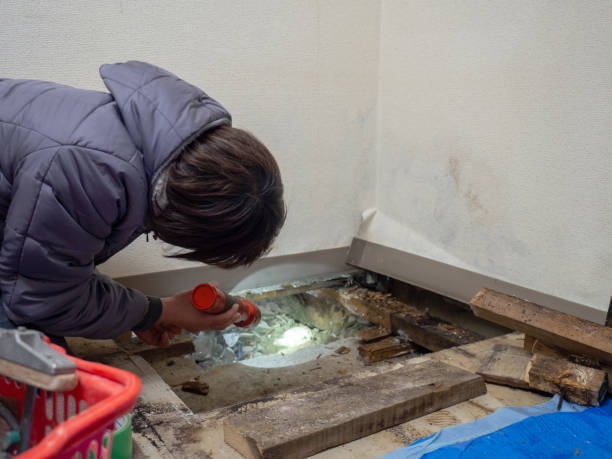 Best Post-Remediation Verification Testing  in Richwood, OH