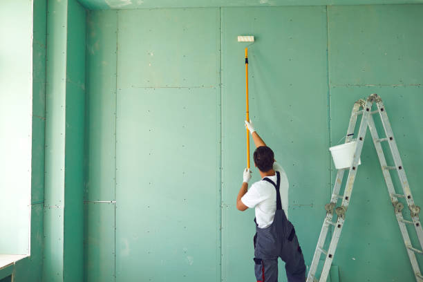 Best Mold Odor Removal Services  in Richwood, OH