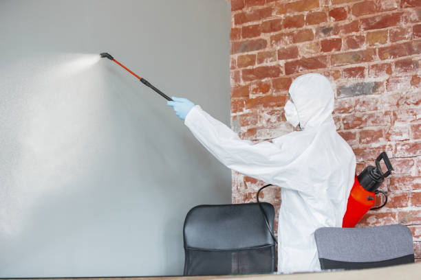 Best HVAC Mold Inspection and Cleaning  in Richwood, OH