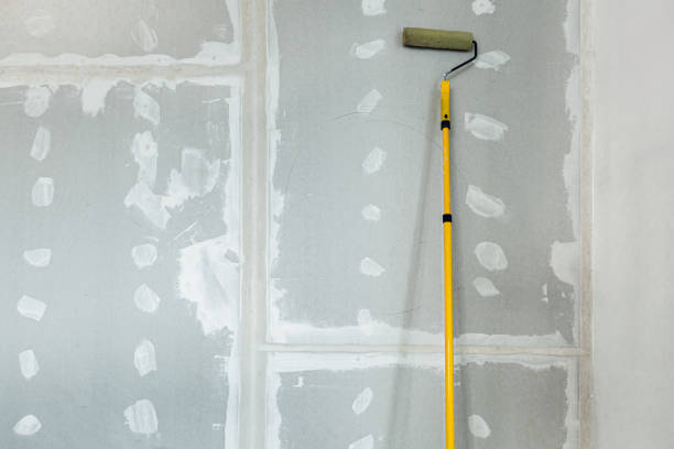 Best Water Damage & Mold Remediation  in Richwood, OH