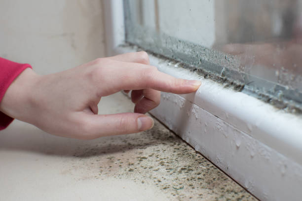 Best Biohazard Mold Removal  in Richwood, OH