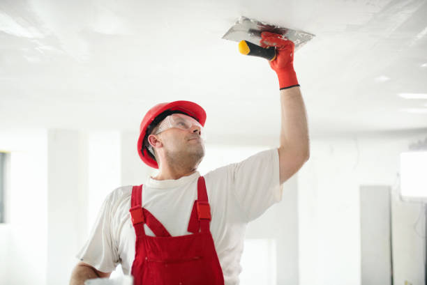 Mold Remediation for Vacation Homes in Richwood, OH