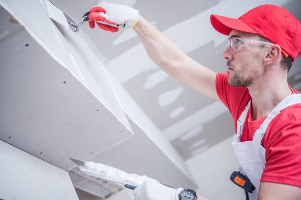 Best Emergency Mold Remediation  in Richwood, OH